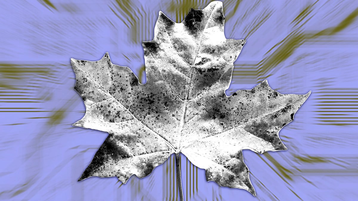 Why Maple is ditching under-collateralised lending: ‘No one’s profitable’