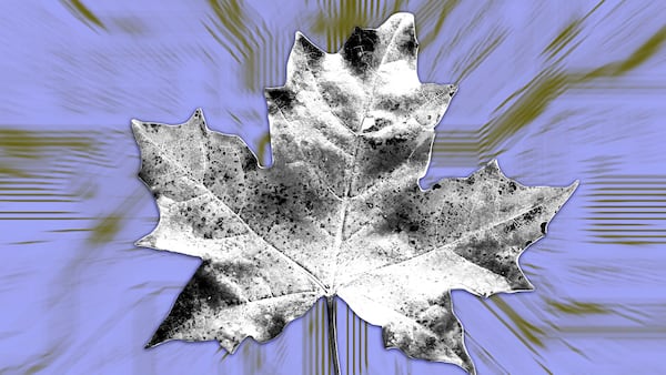 Why Maple is ditching under-collateralised lending: ‘No one’s profitable’