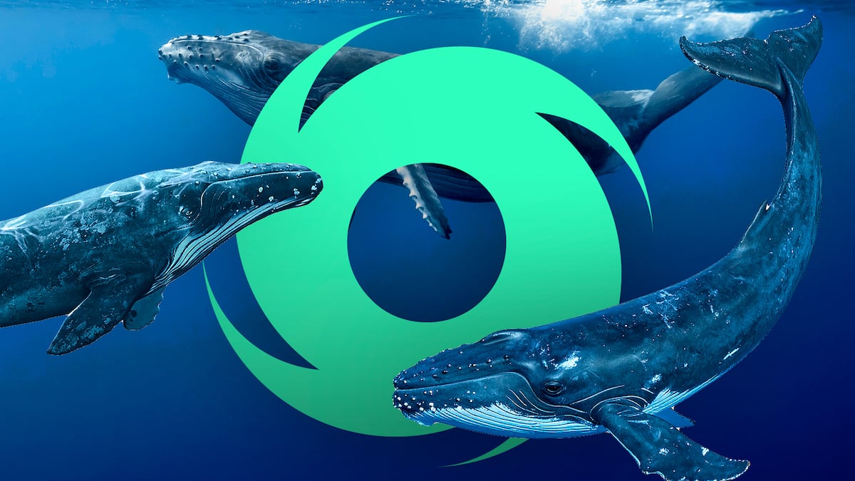 Tornado Cash volumes hit record high as wallets associated with Richard Heart pour $400m