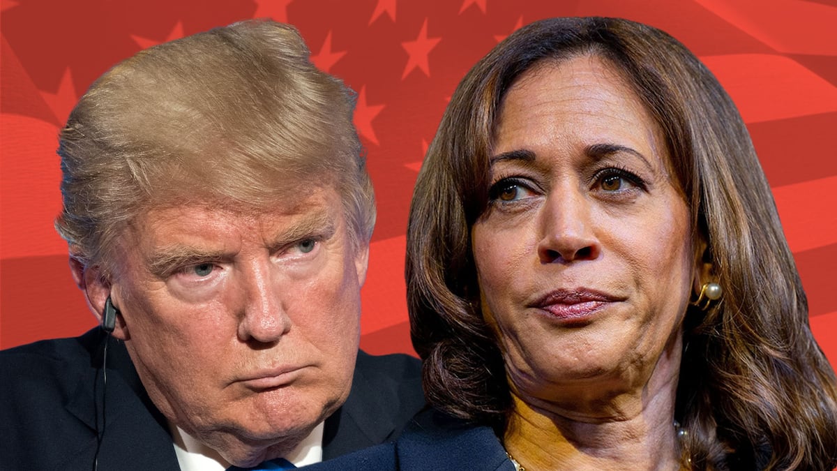 Harris or Trump? How lobbyists made sure crypto wins no matter what