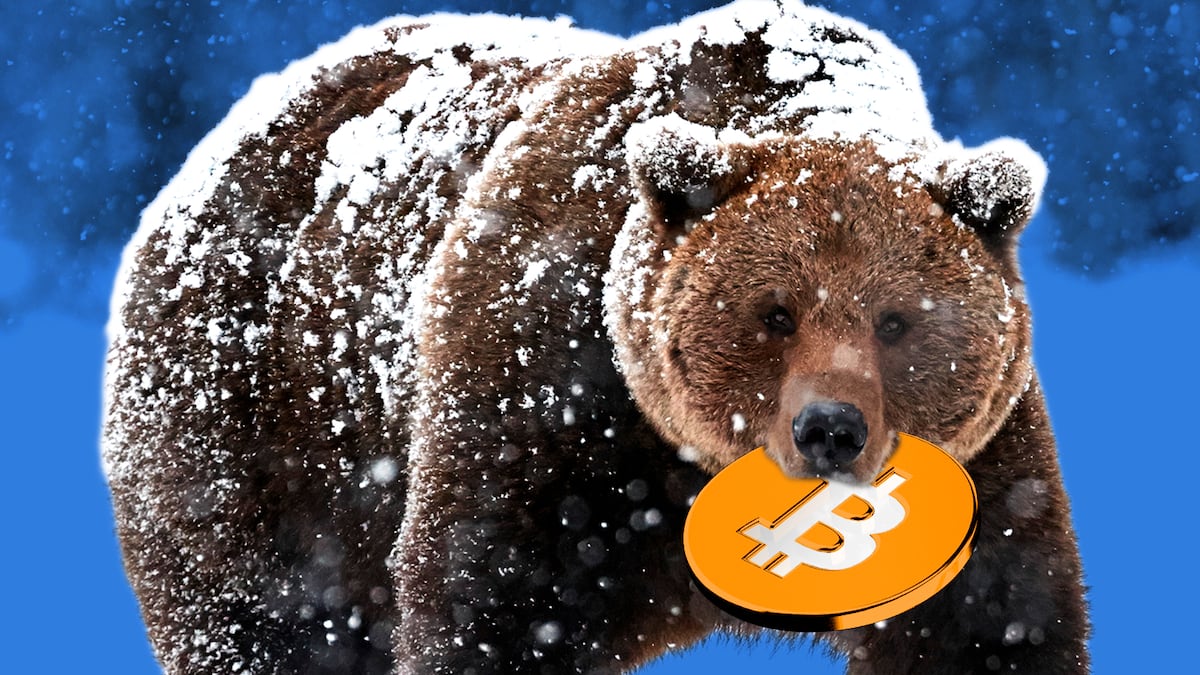 Why Coinbase research says bear market’s got crypto in its jaws