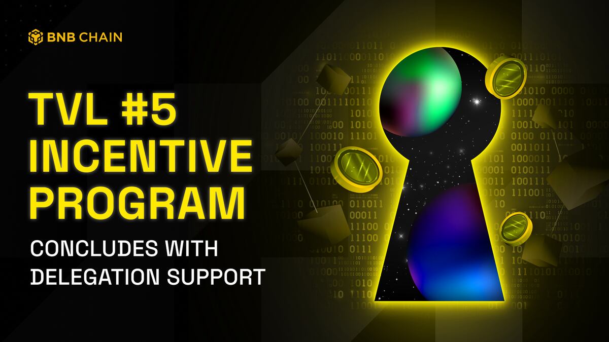 BNB Chain Concludes Fifth TVL Incentive Program with Delegation Support for Top Protocols