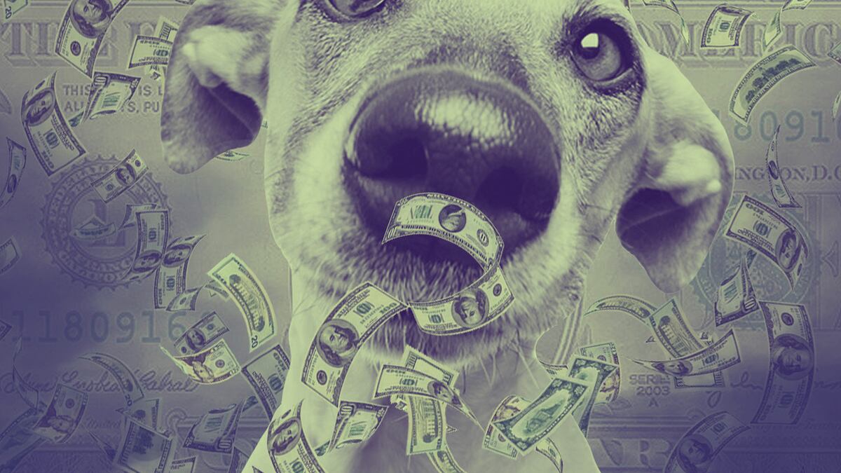 ‘Blockchain for dog nose wrinkles’ Ponzi makes off with $127m