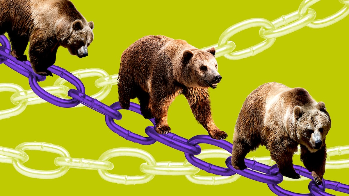 Berachain token slides 60% amid insider selling