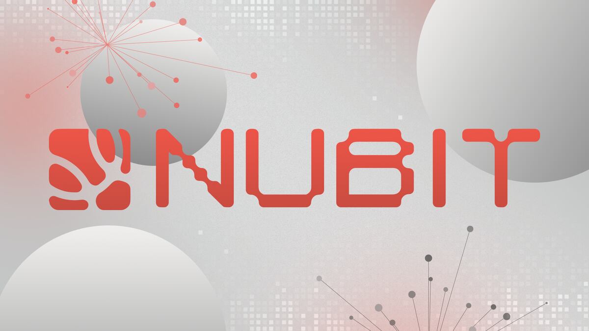 Polychain Capital Leads $8m Seed Round for Nubit to Revolutionise Blockchain Scalability and Multi-Chain Ecosystems