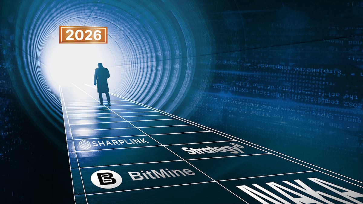 Investors scramble to pick new winners among smouldering crypto treasury firms. ‘Premium era is over’