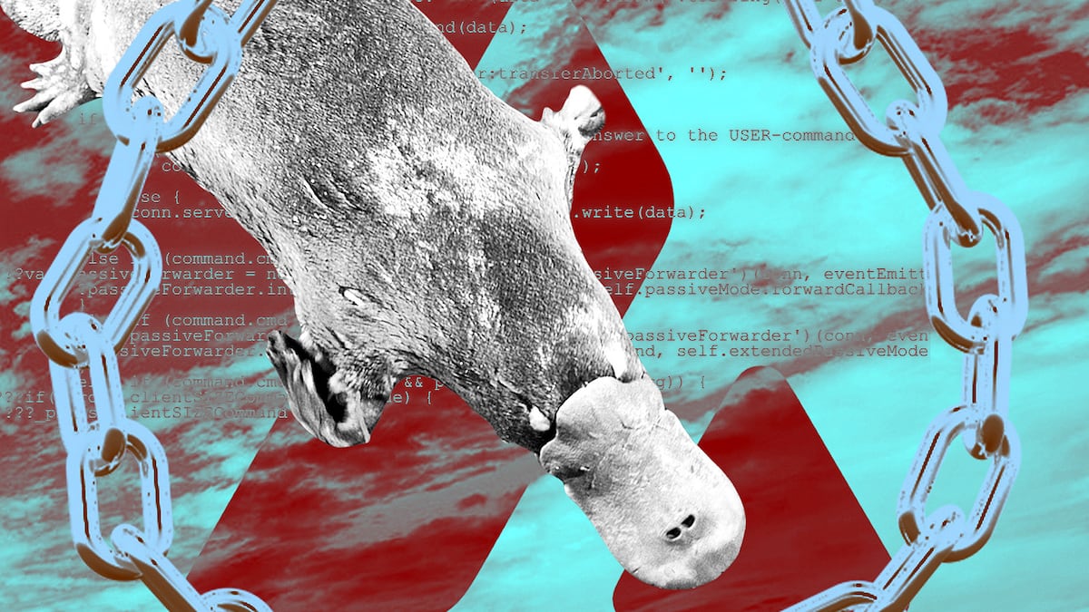 How third hack of the year walloped Platypus Finance investors for $1.6m