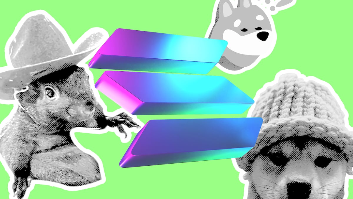 These memecoins are driving Solana’s record $40bn trading volume